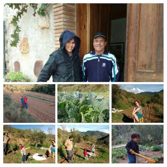 Cottage Eco-Friendly Barcelona Country Side Ла Гарига Екстериор снимка