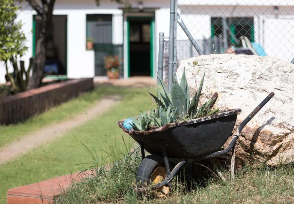 Cottage Eco-Friendly Barcelona Country Side Ла Гарига Екстериор снимка