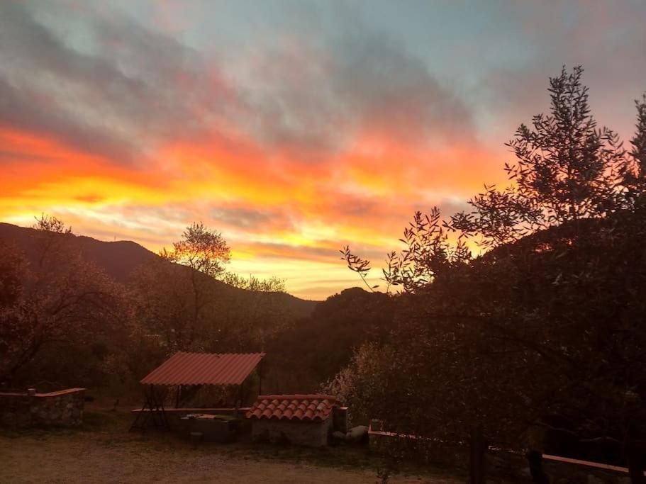 Cottage Eco-Friendly Barcelona Country Side Ла Гарига Екстериор снимка