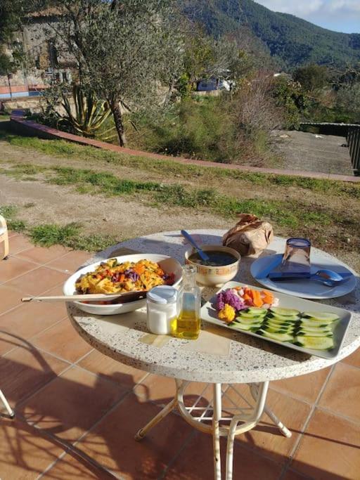 Cottage Eco-Friendly Barcelona Country Side Ла Гарига Екстериор снимка