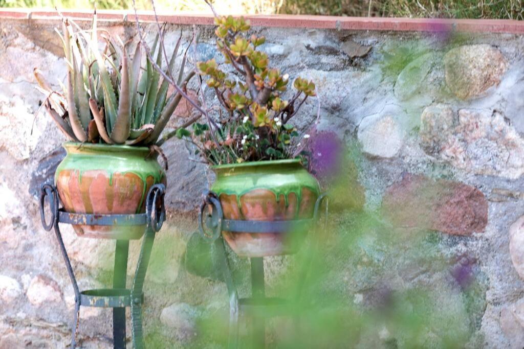Cottage Eco-Friendly Barcelona Country Side Ла Гарига Екстериор снимка