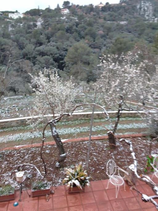 Cottage Eco-Friendly Barcelona Country Side Ла Гарига Екстериор снимка