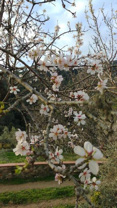 Cottage Eco-Friendly Barcelona Country Side Ла Гарига Екстериор снимка